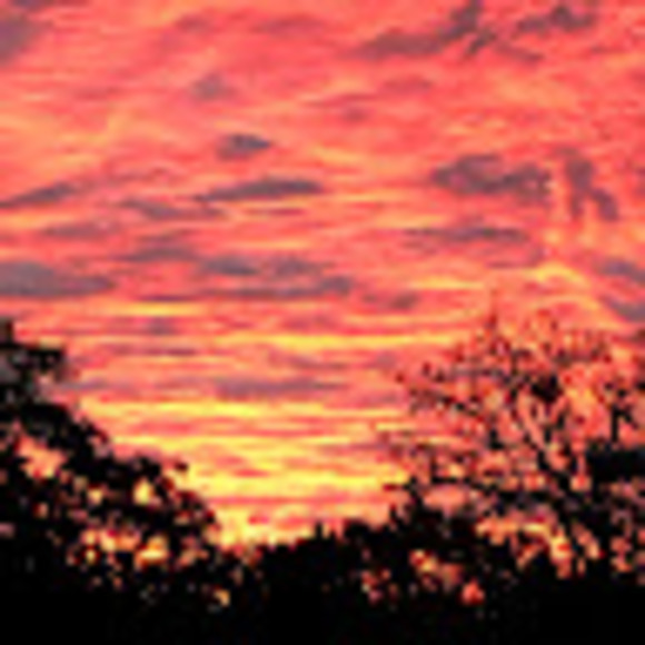 Meet your Posher, Patrick - Picture 1 of 1